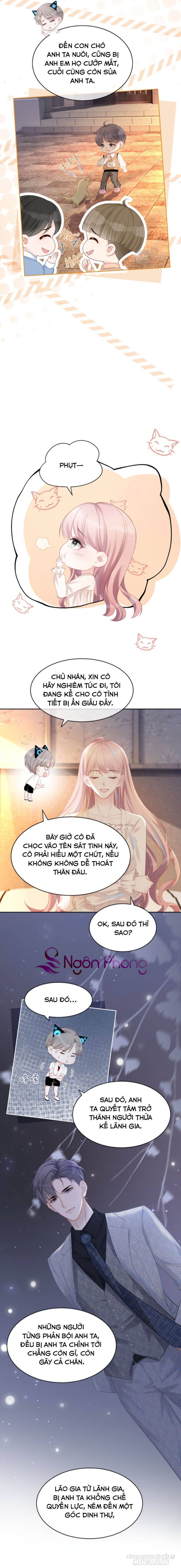 Xuyên Nhanh Nữ Phụ Bình Tĩnh Chút Chapter 16 - Trang 2