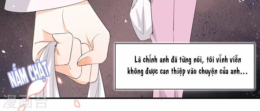 Cô Vợ Hợp Đồng Lạnh Lùng Không Dễ Đụng Đâu Chapter 3 - Trang 2