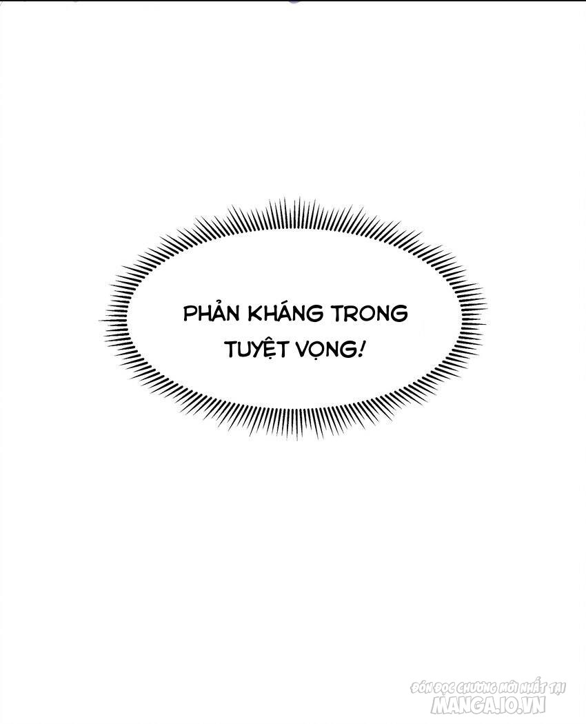 Toàn Bộ Tu Chân Giới Muội Tử Muốn Bắt Ta Chapter 99 - Trang 2