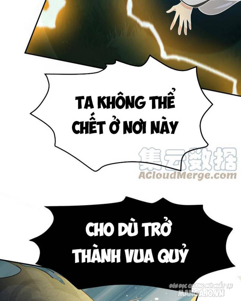 Toàn Bộ Tu Chân Giới Muội Tử Muốn Bắt Ta Chapter 67 - Trang 2