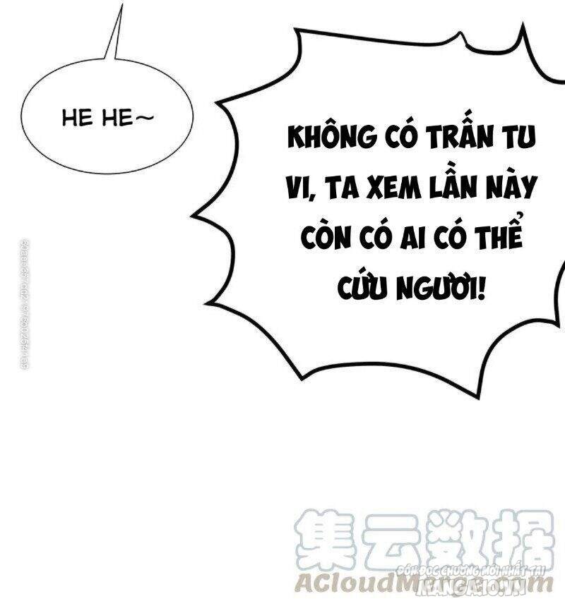 Toàn Bộ Tu Chân Giới Muội Tử Muốn Bắt Ta Chapter 30 - Trang 2