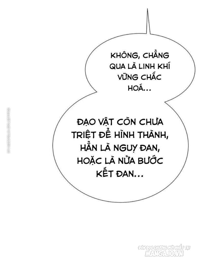 Toàn Bộ Tu Chân Giới Muội Tử Muốn Bắt Ta Chapter 23 - Trang 2