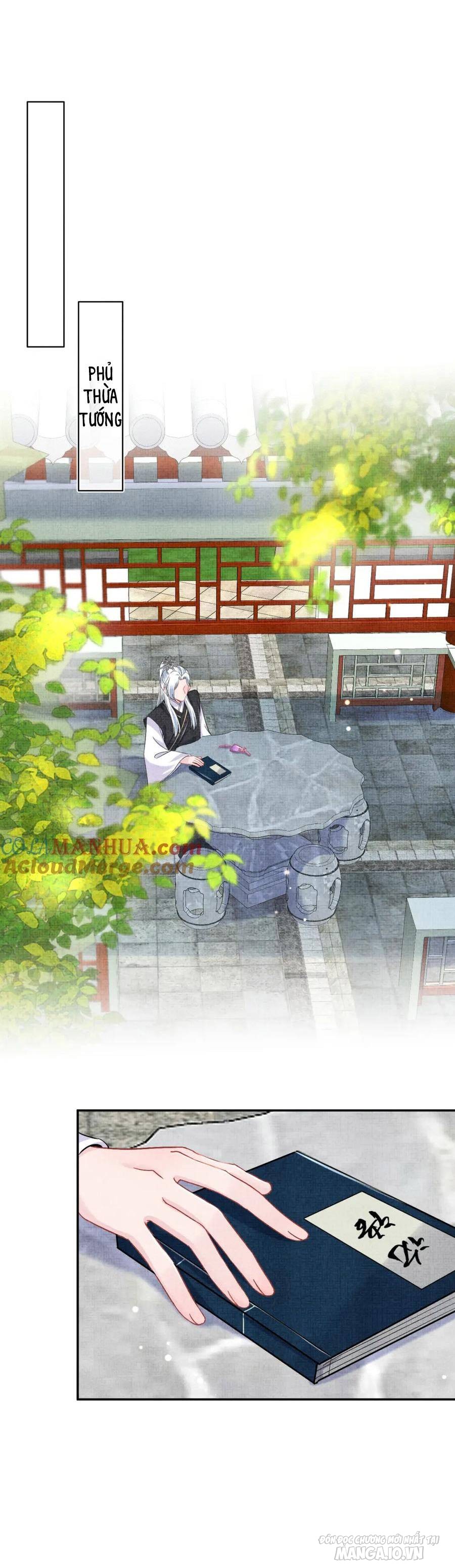 Giao Nhân Tể Tể Ba Tuổi Rồi! Chapter 185 - Trang 2