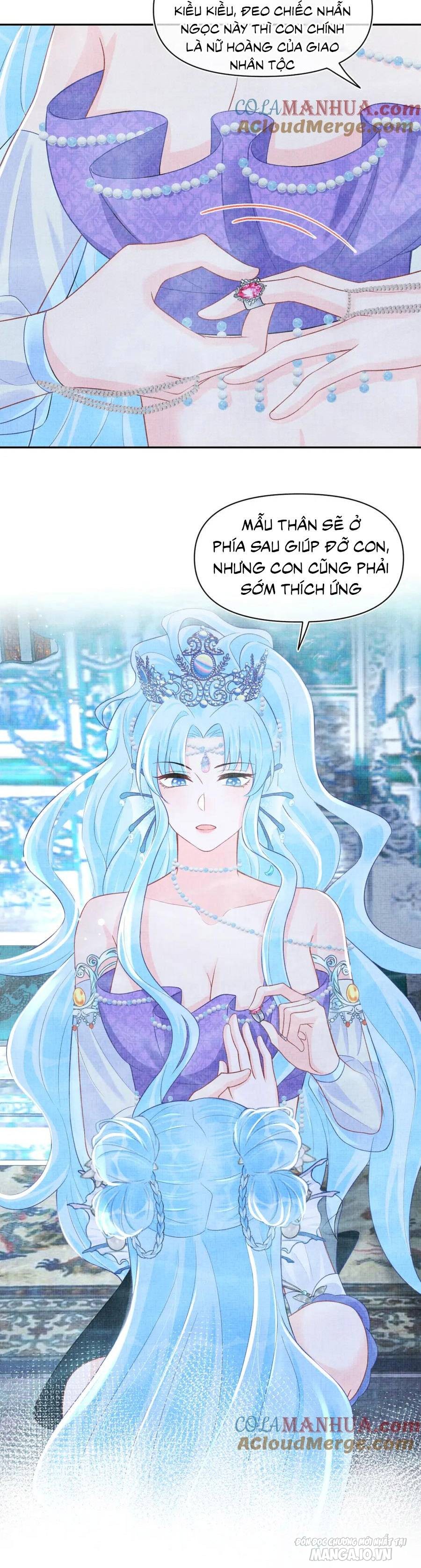 Giao Nhân Tể Tể Ba Tuổi Rồi! Chapter 168 - Trang 2