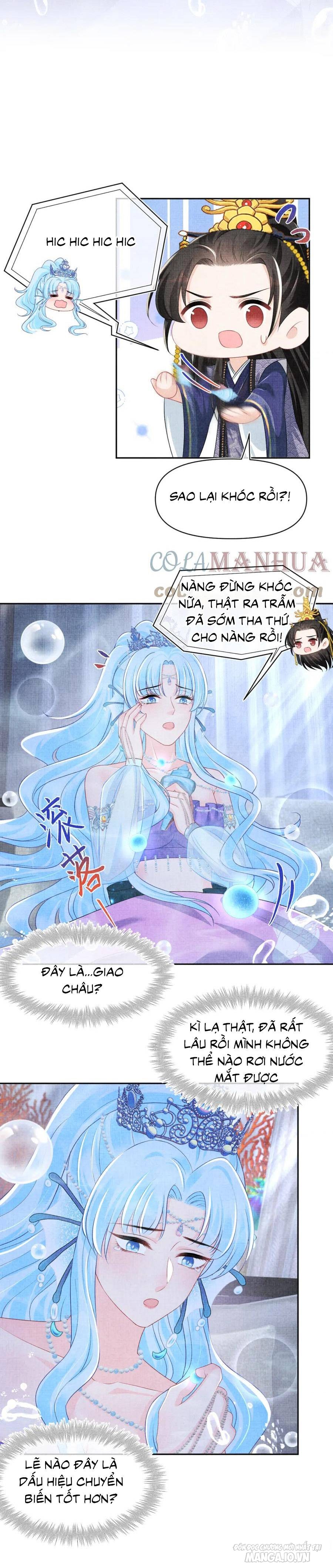 Giao Nhân Tể Tể Ba Tuổi Rồi! Chapter 160 - Trang 2