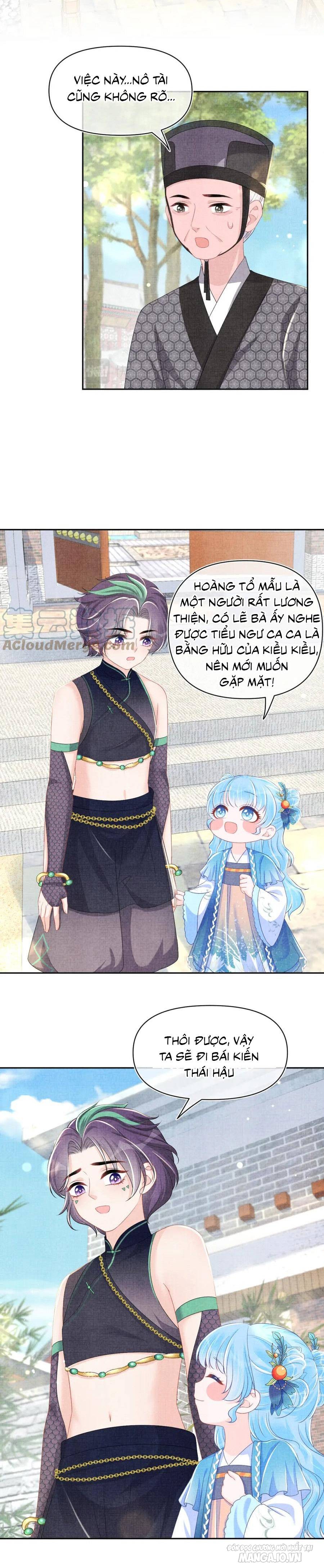 Giao Nhân Tể Tể Ba Tuổi Rồi! Chapter 157 - Trang 2