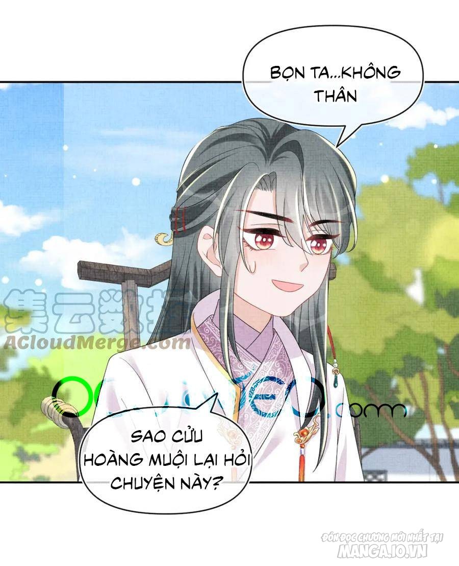 Giao Nhân Tể Tể Ba Tuổi Rồi! Chapter 145 - Trang 2