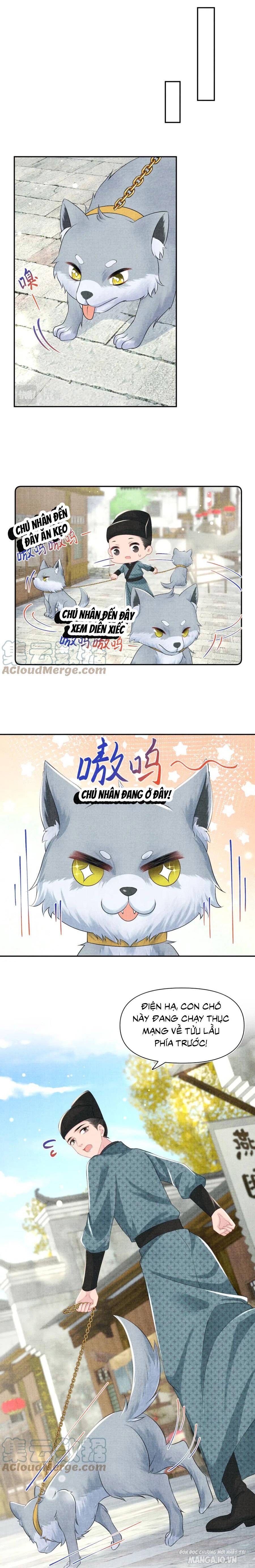 Giao Nhân Tể Tể Ba Tuổi Rồi! Chapter 136 - Trang 2