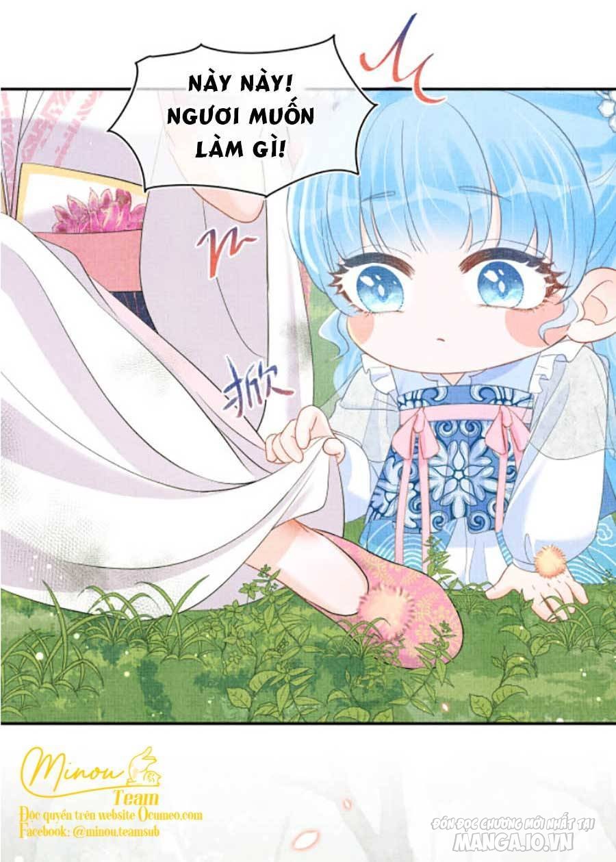 Giao Nhân Tể Tể Ba Tuổi Rồi! Chapter 28 - Trang 2