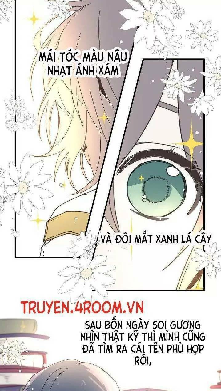 Lời Thú Nhận Nhầm Lẫn Chapter 5 - Trang 2