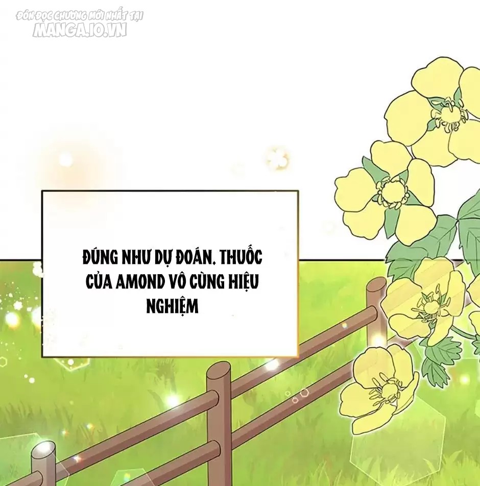 Quay Về Quá Khứ Mở Tiệm Bánh Kẹo Chapter 43.1 - Trang 2