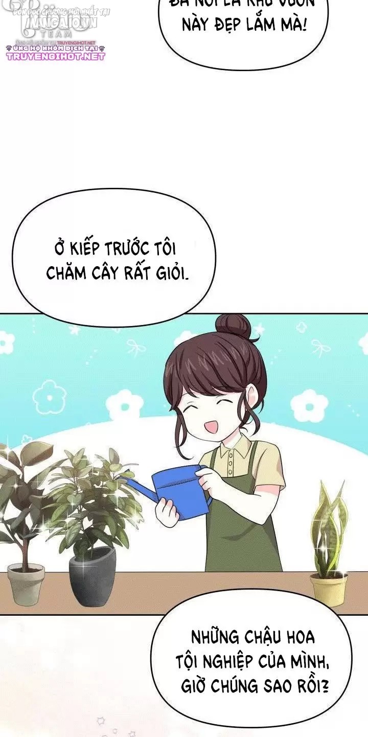 Quay Về Quá Khứ Mở Tiệm Bánh Kẹo Chapter 14.1 - Trang 2