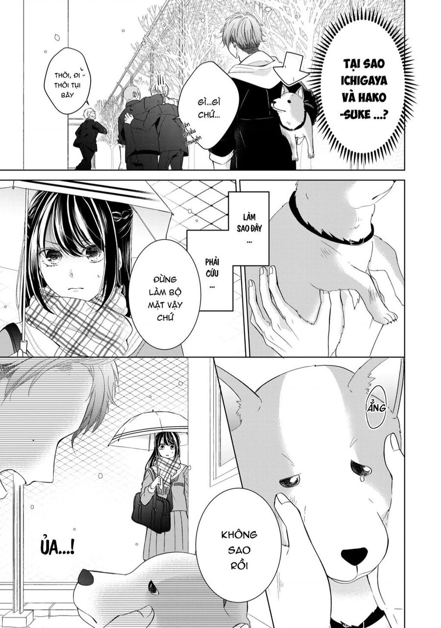 Osewa Ni Narimasu Ookami-Kun Chapter 1 - Trang 2