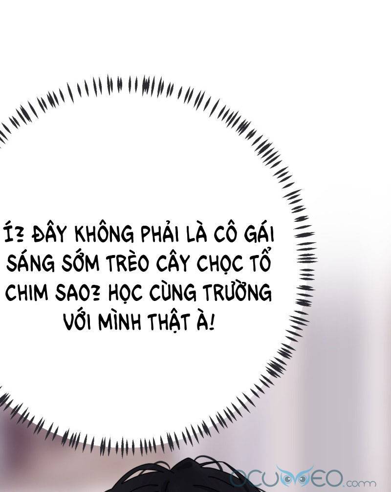 Khi Đóa Hoa Sẫm Màu Nở Rộ Chapter 5 - Trang 2