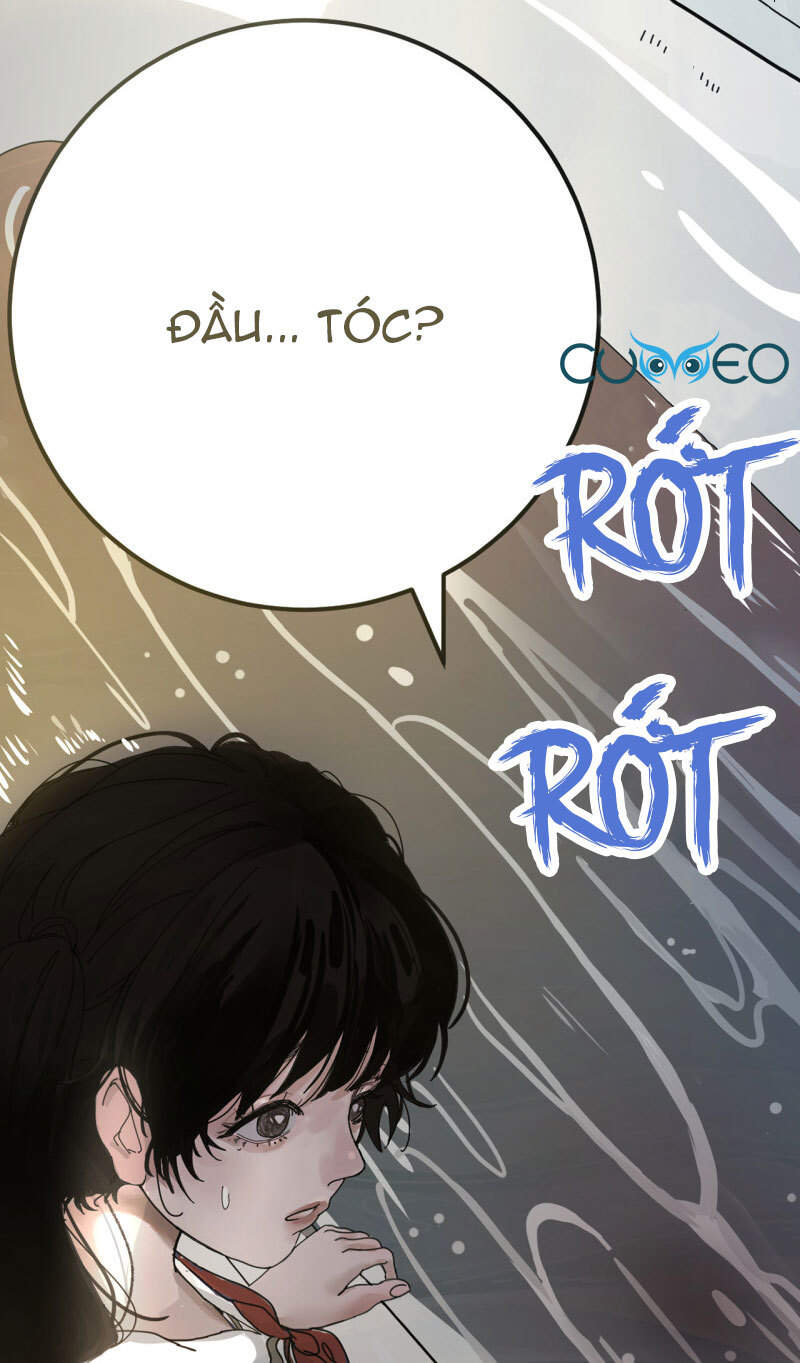 Khi Đóa Hoa Sẫm Màu Nở Rộ Chapter 0.1 - Trang 2