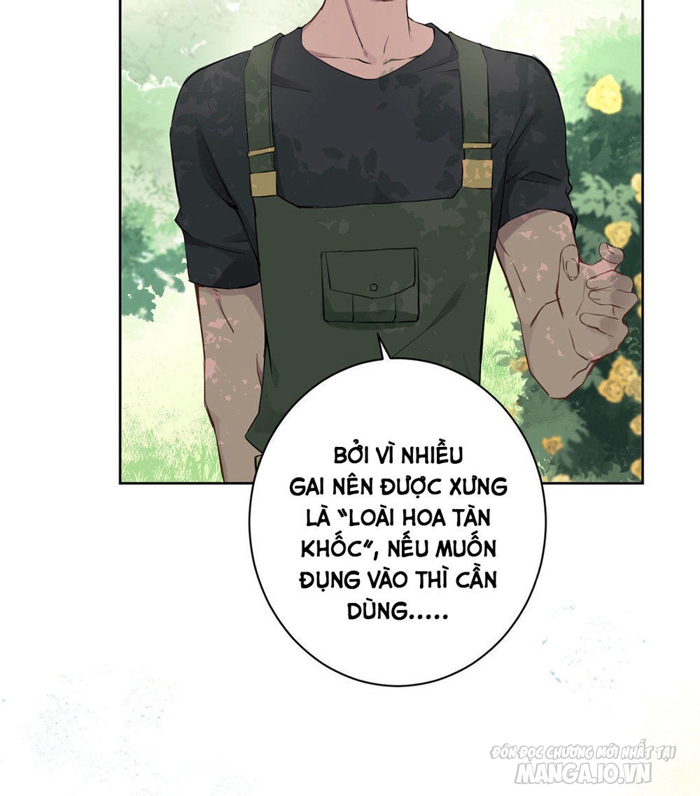 Đại Chiến Công Chúa Chapter 8 - Trang 2