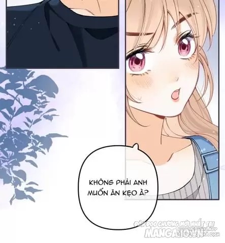 Vụng Trộm Giấu Không Được Chapter 98 - Trang 2