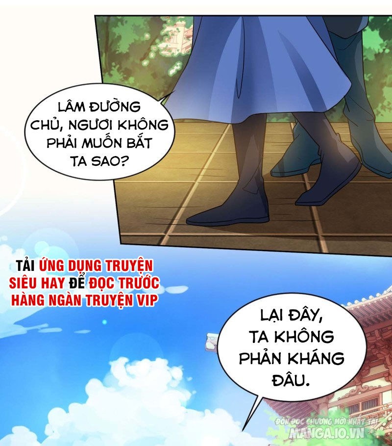 Trọng Sinh Sau Tám Vạn Năm Chapter 136 - Trang 2