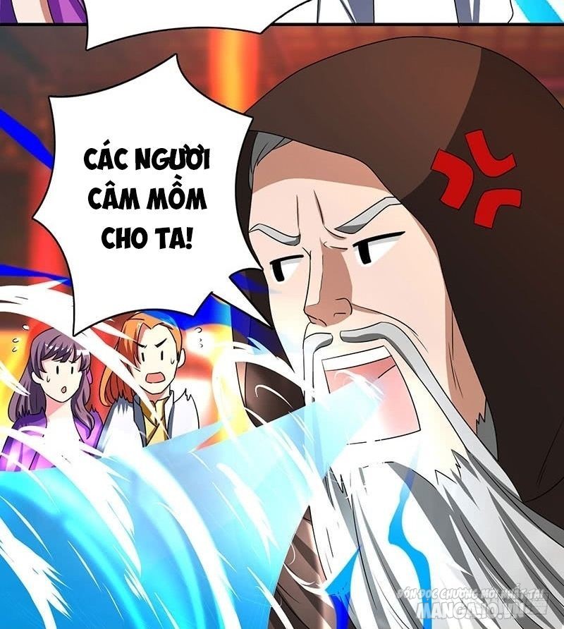 Trọng Sinh Sau Tám Vạn Năm Chapter 7 - Trang 2