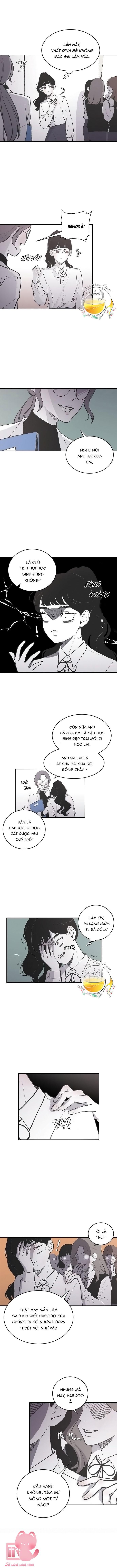 Ba Anh Trai Cực Phẩm Của Tôi Chapter 5 - Trang 2