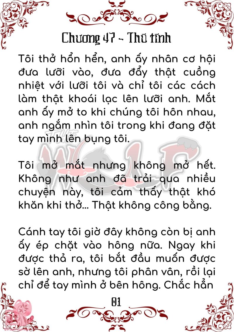 Bầy Sói Giữa Dane Chapter 47 - Trang 2