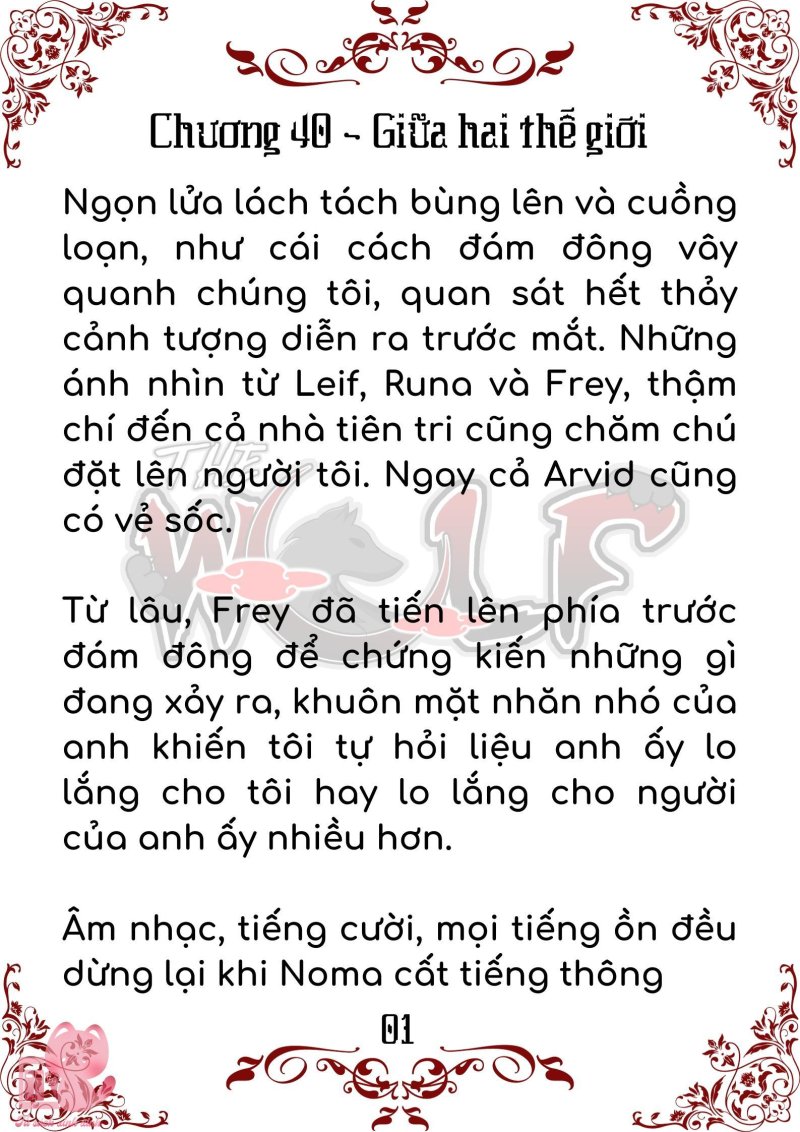 Bầy Sói Giữa Dane Chapter 40 - Trang 2