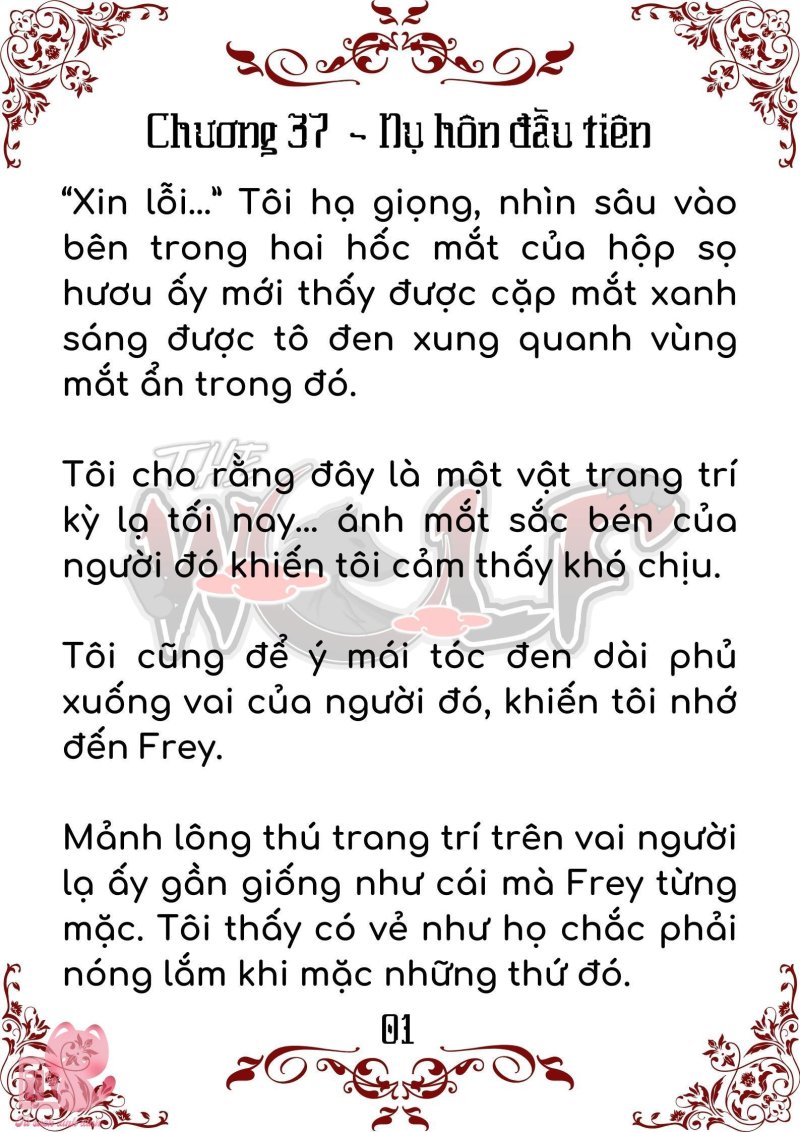 Bầy Sói Giữa Dane Chapter 37 - Trang 2