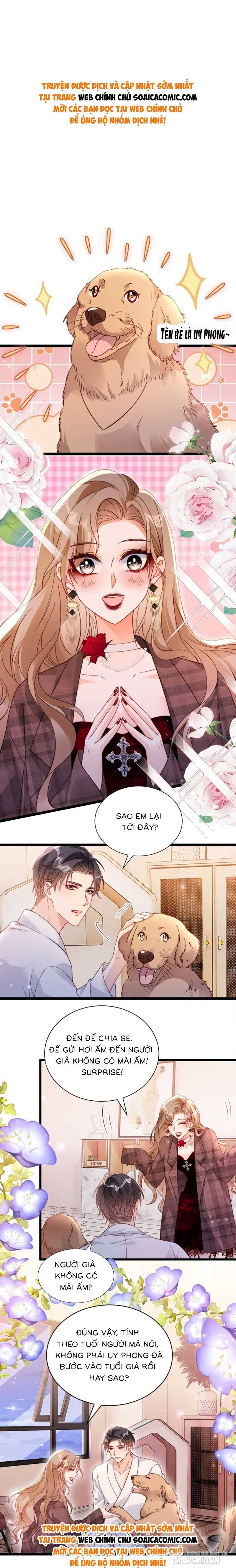 Phá Vỡ Kế Hoạch Của Tra Nam Tôi Về Bên Đại Boss Chapter 49 - Trang 2