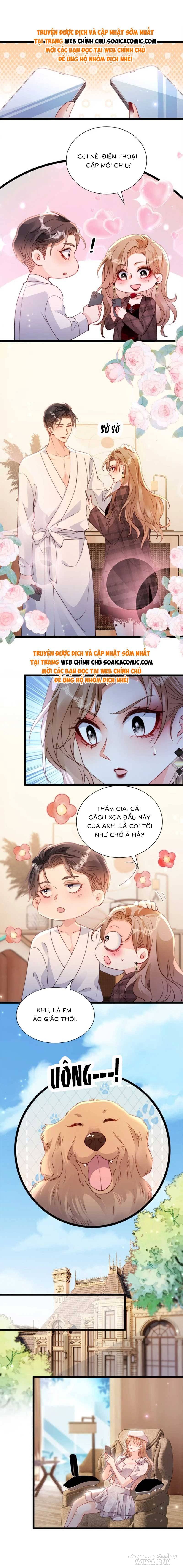 Phá Vỡ Kế Hoạch Của Tra Nam Tôi Về Bên Đại Boss Chapter 49 - Trang 2