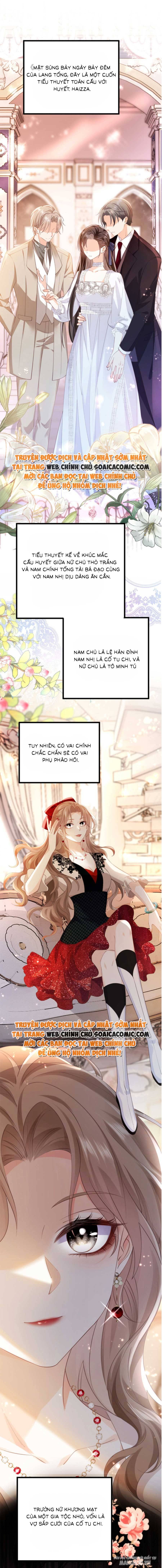 Phá Vỡ Kế Hoạch Của Tra Nam Tôi Về Bên Đại Boss Chapter 1 - Trang 2