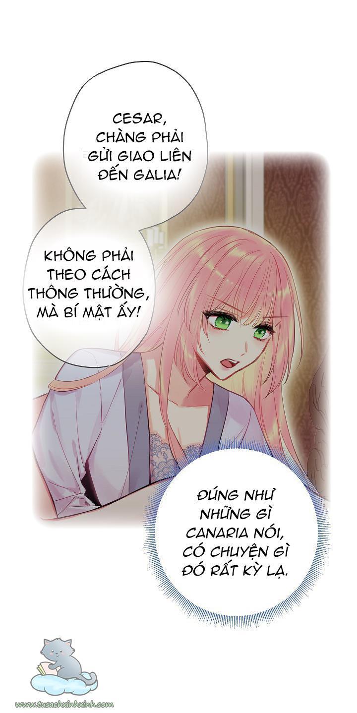 Ác Nữ Muốn Ly Hôn Chapter 79 - Trang 2