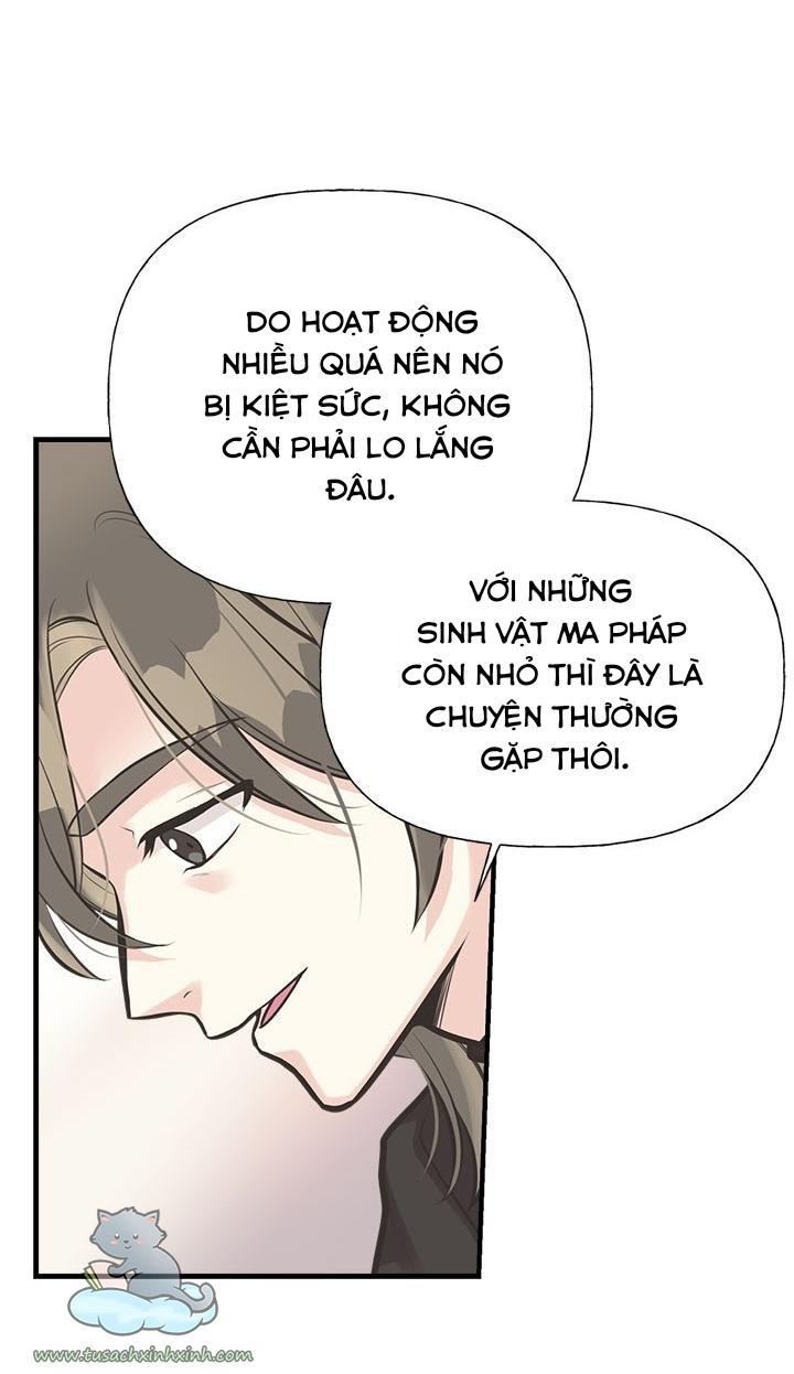 Chị Tôi Nhặt Về Nam Chính Của Tiểu Thuyết Chapter 54 - Trang 2