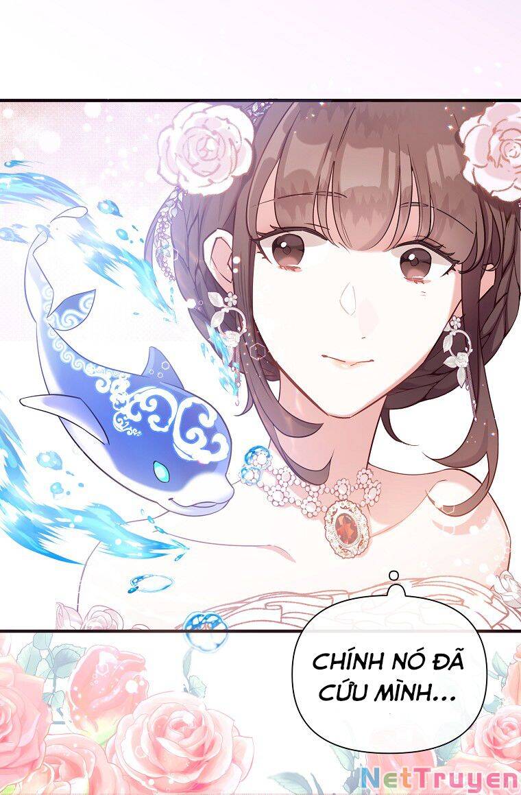 Kế Hoạch B Chapter 13 - Trang 2