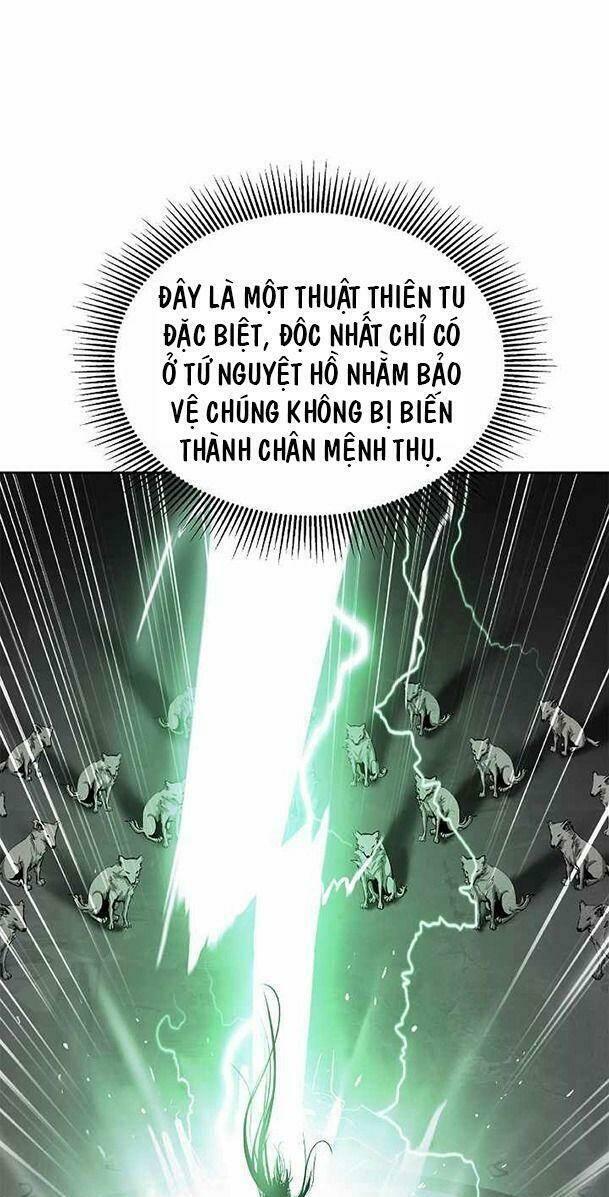 Xuyên Không Thành Hổ Chapter 51 - Trang 2