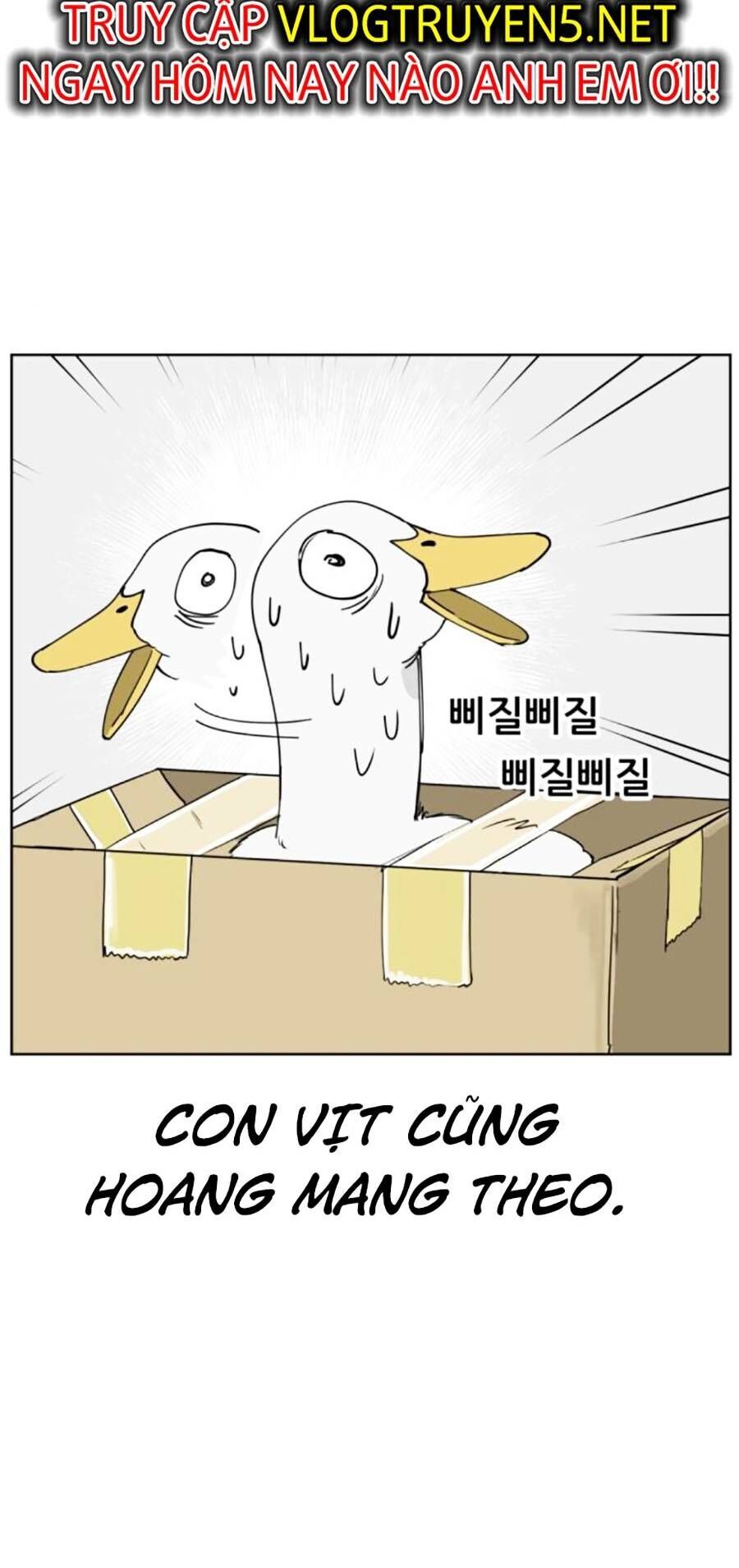 Con Mèo Đô Vật Của Tôi Chapter 8 - Trang 2