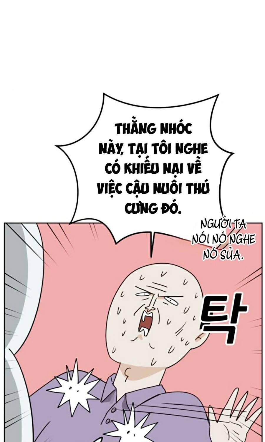 Con Mèo Đô Vật Của Tôi Chapter 6 - Trang 2