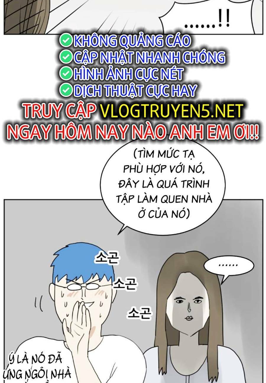 Con Mèo Đô Vật Của Tôi Chapter 3 - Trang 2