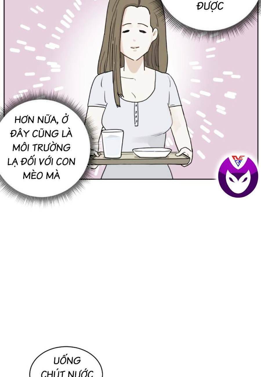 Con Mèo Đô Vật Của Tôi Chapter 3 - Trang 2