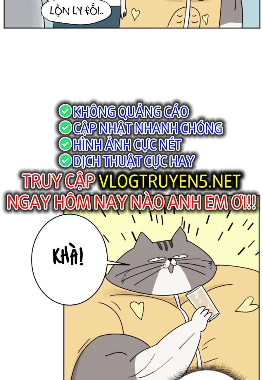 Con Mèo Đô Vật Của Tôi Chapter 3 - Trang 2