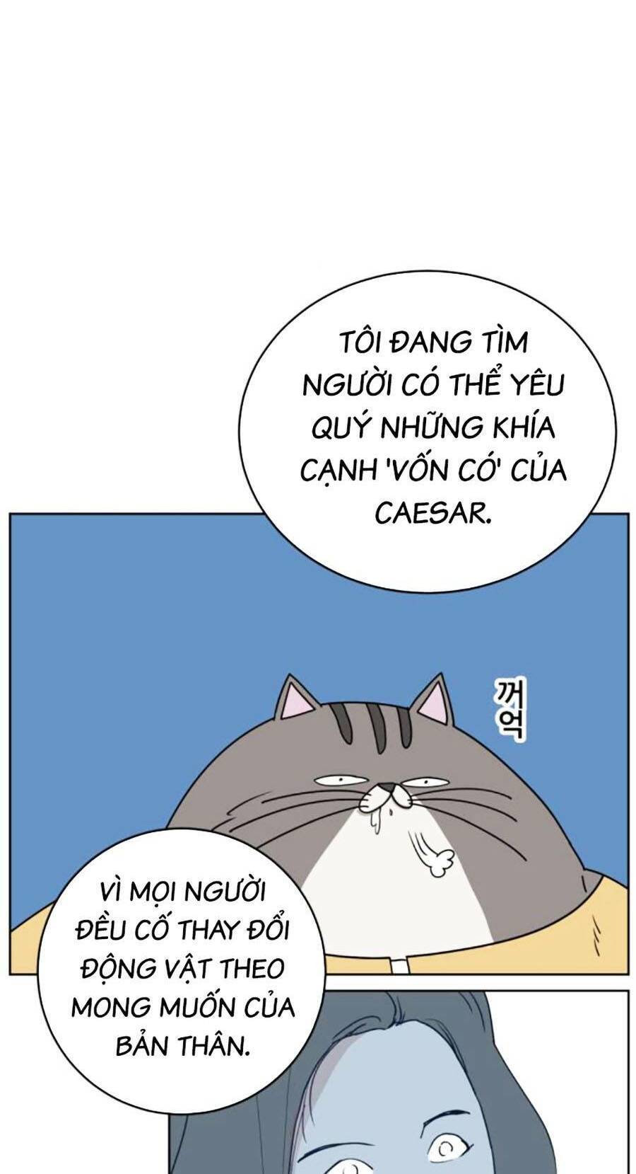 Con Mèo Đô Vật Của Tôi Chapter 3 - Trang 2