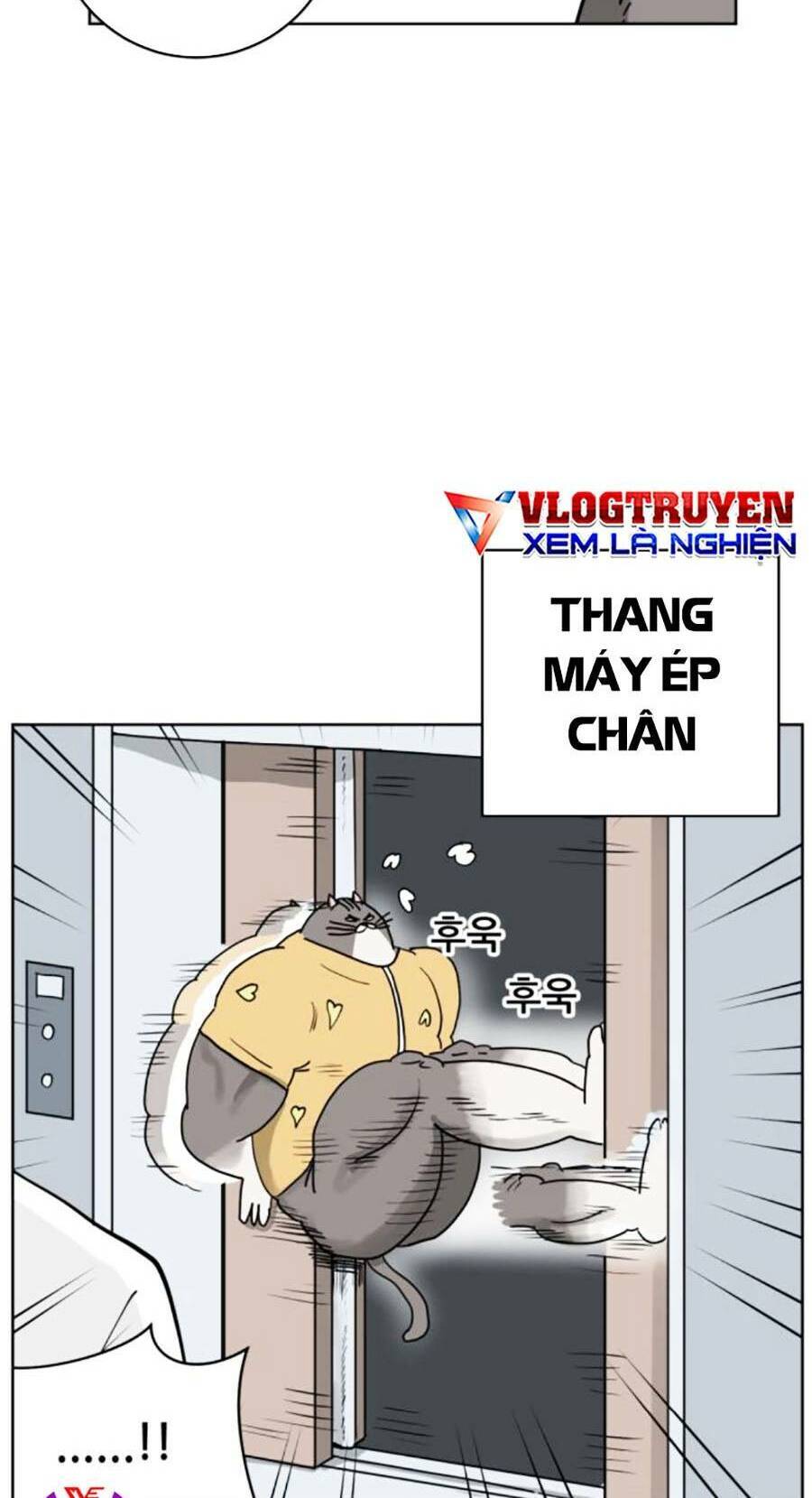 Con Mèo Đô Vật Của Tôi Chapter 3 - Trang 2