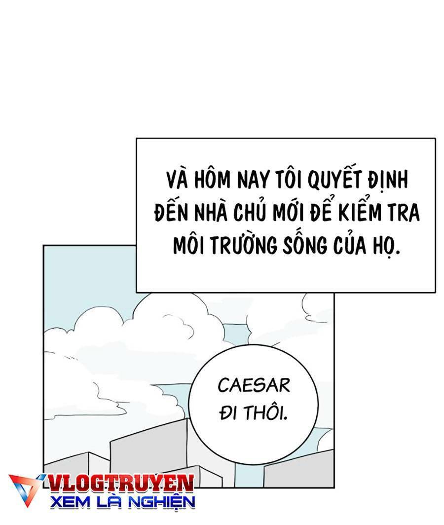 Con Mèo Đô Vật Của Tôi Chapter 2 - Trang 2