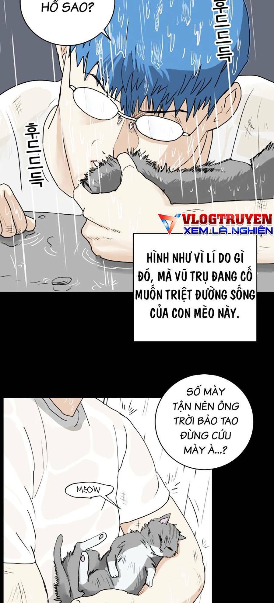 Con Mèo Đô Vật Của Tôi Chapter 1 - Trang 2