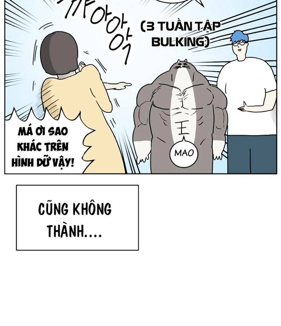 Con Mèo Đô Vật Của Tôi Chapter 1 - Trang 2