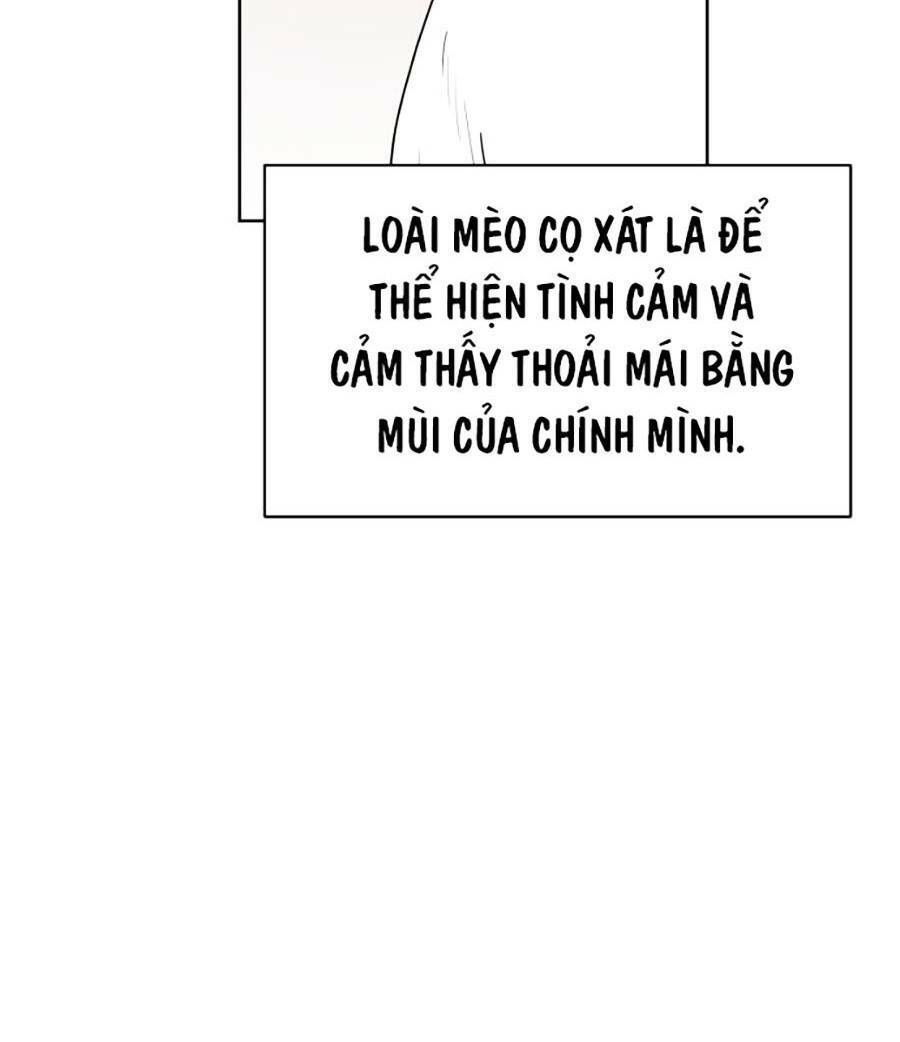 Con Mèo Đô Vật Của Tôi Chapter 1 - Trang 2