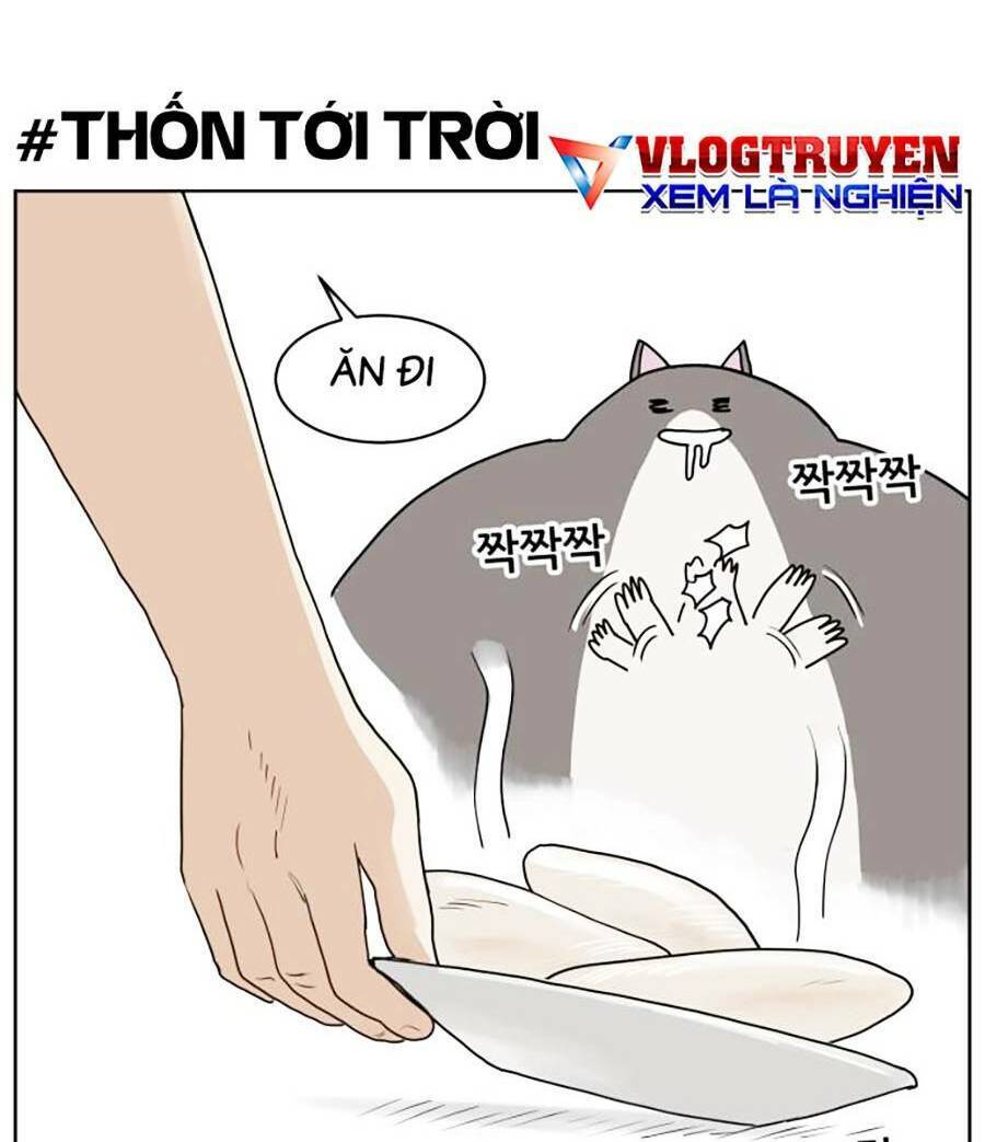 Con Mèo Đô Vật Của Tôi Chapter 1 - Trang 2