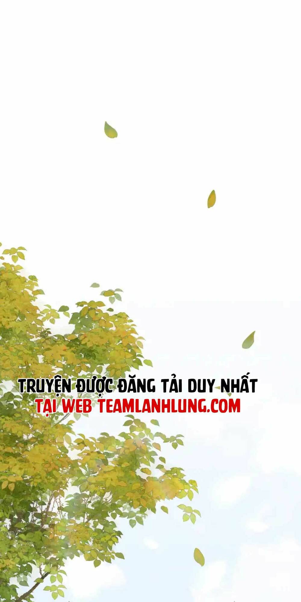 Phú Bà Xuyên Không : Thế Tử Không Dễ Lừa Gạt Chapter 26 - Trang 2