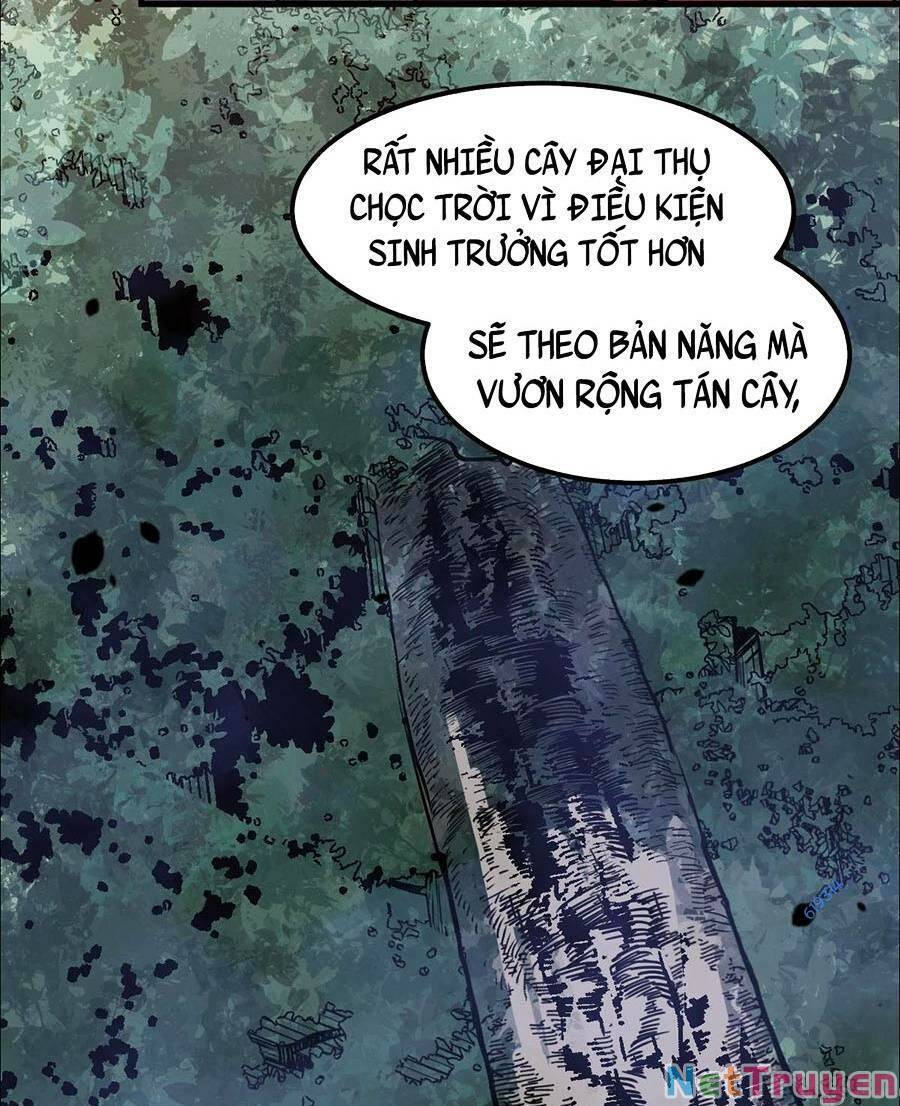 Siêu Phàm Tiến Hóa Chapter 75 - Trang 2