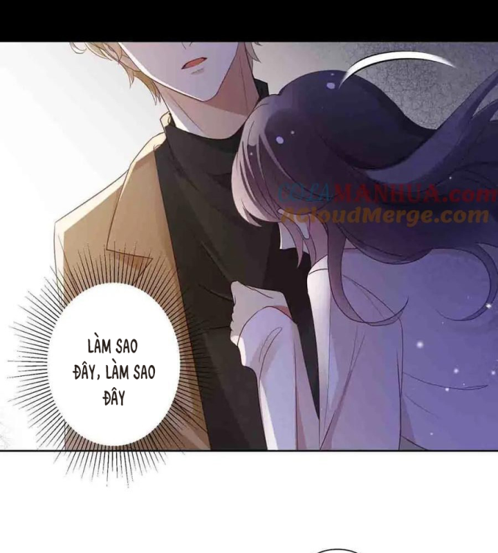 Sau Đêm Ly Hôn Chapter 13 - Trang 2