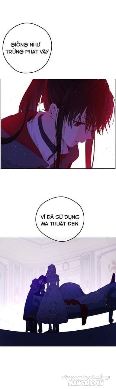 Một Ngày Nọ Tôi Bỗng Thành Nàng Công Chúa Chapter 70 - Trang 2